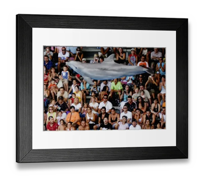 Framed Print : Bottlenose Dolphin jumping with crowd watching in background Framed Print : Bottlenose Dolphin jumping with crowd watching in background