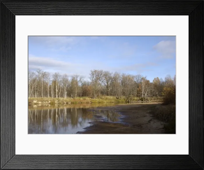 Framed Print : Russian Desman - habitat Framed Print : Russian Desman - habitat