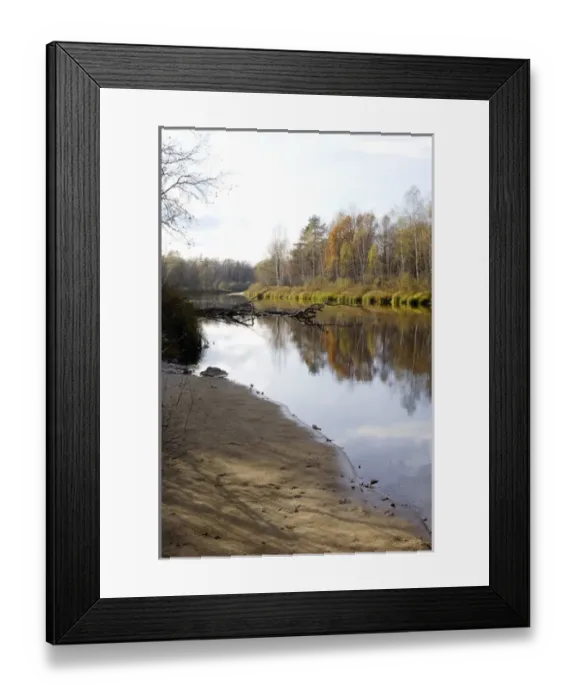 Framed Print : Russian Desman - habitat Framed Print : Russian Desman - habitat