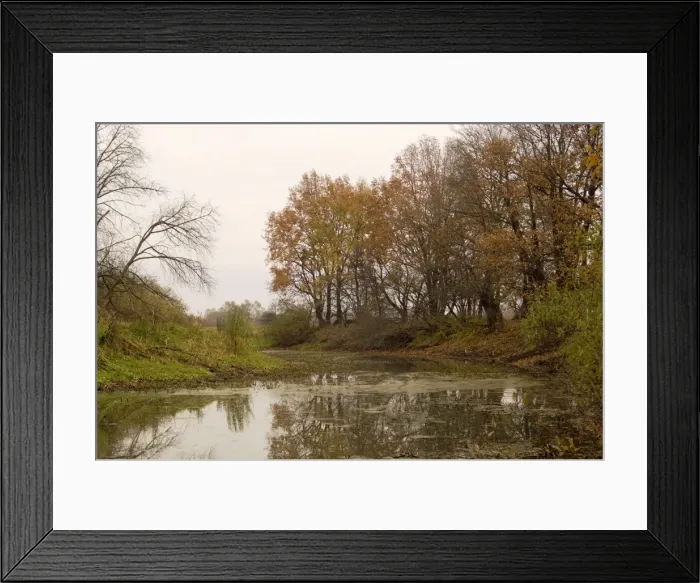 Framed Print : Russian Desman - typical habitat Framed Print : Russian Desman - typical habitat