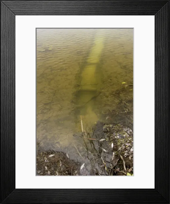 Framed Print : Russian Desman - typical burrow Framed Print : Russian Desman - typical burrow