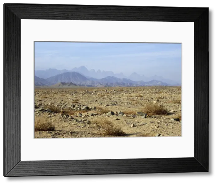 Framed Print : Egypt - typical scene in Arabian desert Framed Print : Egypt - typical scene in Arabian desert
