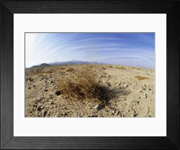 Framed Print : Egypt - typical scene in Arabian desert Framed Print : Egypt - typical scene in Arabian desert