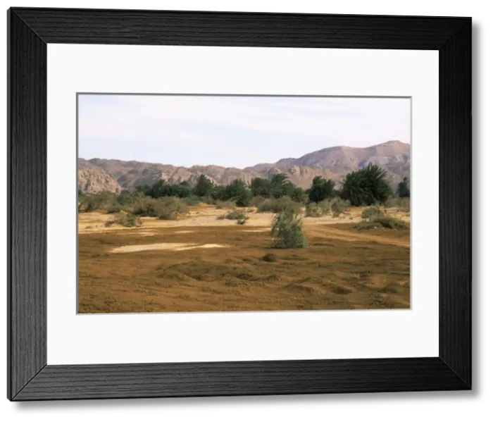 Framed Print : Egypt - A typical uninhabited oasis on a salt water Framed Print : Egypt - A typical uninhabited oasis on a salt water