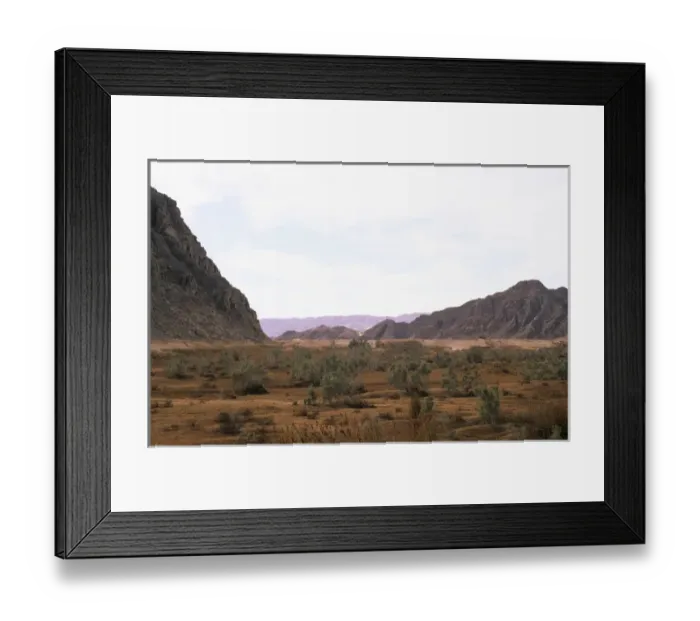 Framed Print : Egypt- a typical uninhabited oasis on a salty water Framed Print : Egypt- a typical uninhabited oasis on a salty water