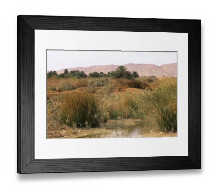 Framed Print : Egypt - a typical uninhabited oasis on a salty Framed Print : Egypt - a typical uninhabited oasis on a salty