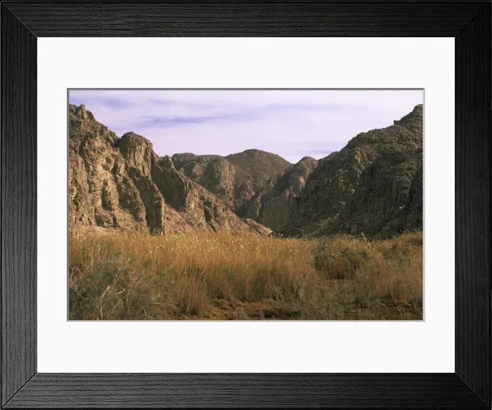 Framed Print : Egypt - a typical uninhabited oasis among rocks Framed Print : Egypt - a typical uninhabited oasis among rocks