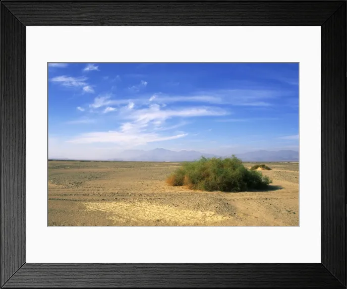 Framed Print : Egypt - a typical morning scene with Zilla spinoza Framed Print : Egypt - a typical morning scene with Zilla spinoza