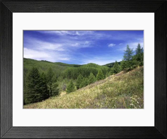 Framed Print : Russia - small grassy clearings on slopes of Sengilen Framed Print : Russia - small grassy clearings on slopes of Sengilen
