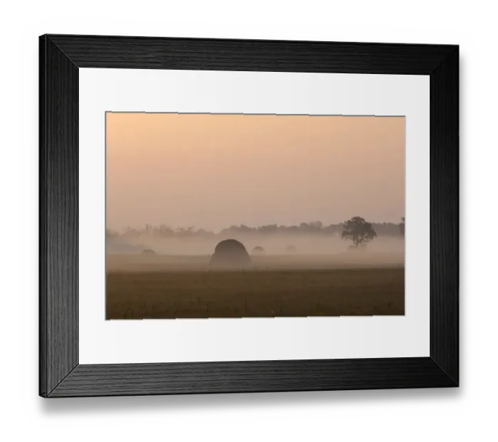 Framed Print : South Russia - sunrise over a flood-plain of river Ural Framed Print : South Russia - sunrise over a flood-plain of river Ural