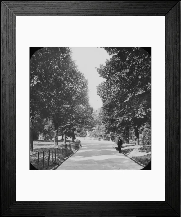 Framed Print : The Fitzroy Gardens Framed Print : The Fitzroy Gardens