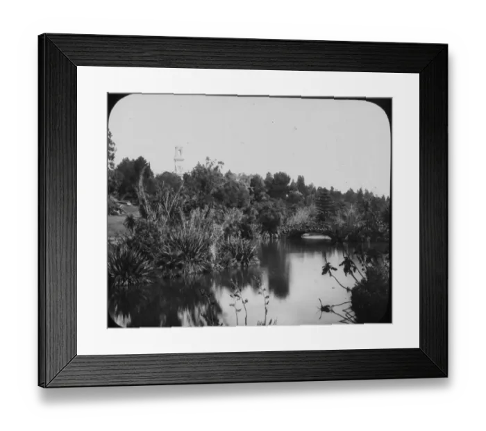 Framed Print : Botanic Gardens Framed Print : Botanic Gardens