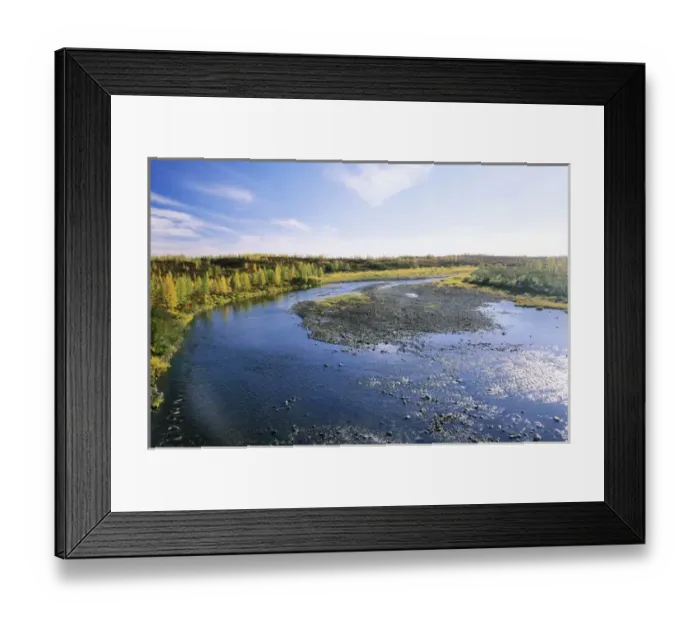 Framed Print : A typical minor river in semi-tundra in autumn Framed Print : A typical minor river in semi-tundra in autumn