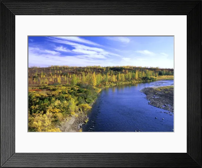 Framed Print : minor river in semi-tundra in autumn, near Dudinka Framed Print : minor river in semi-tundra in autumn, near Dudinka