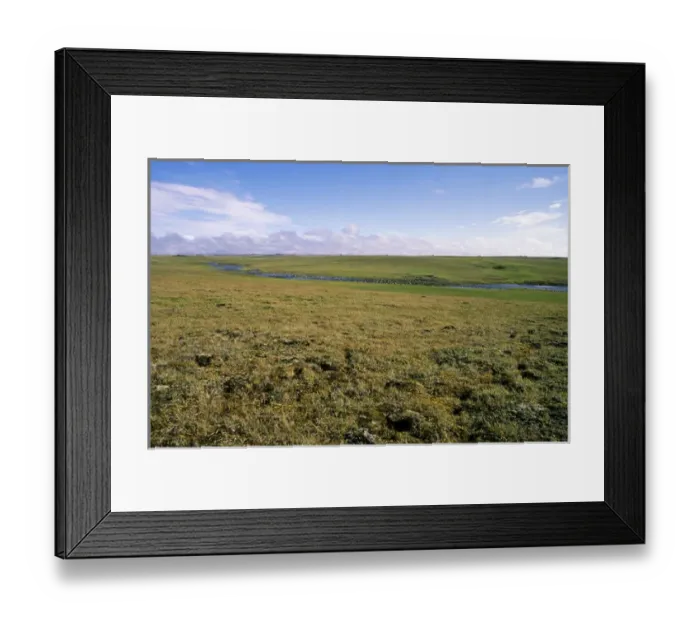 Framed Print : Arctic tundra, a typical landscape near Dikson Framed Print : Arctic tundra, a typical landscape near Dikson