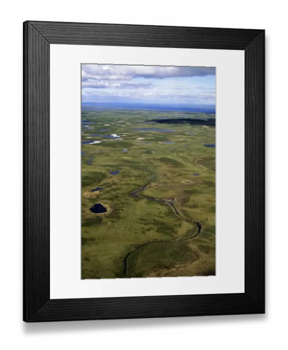 Framed Print : Semi-tundra, aerial view from a helicopter Framed Print : Semi-tundra, aerial view from a helicopter