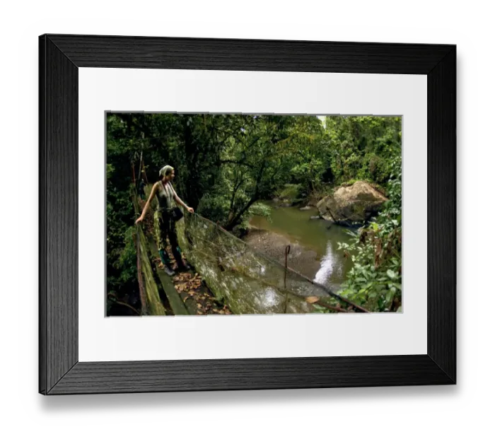 Framed Print : A visitor, accompanied by a quide, on a Sky Walk Framed Print : A visitor, accompanied by a quide, on a Sky Walk