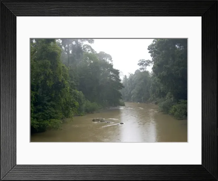 Framed Print : River Danum in the rain Framed Print : River Danum in the rain