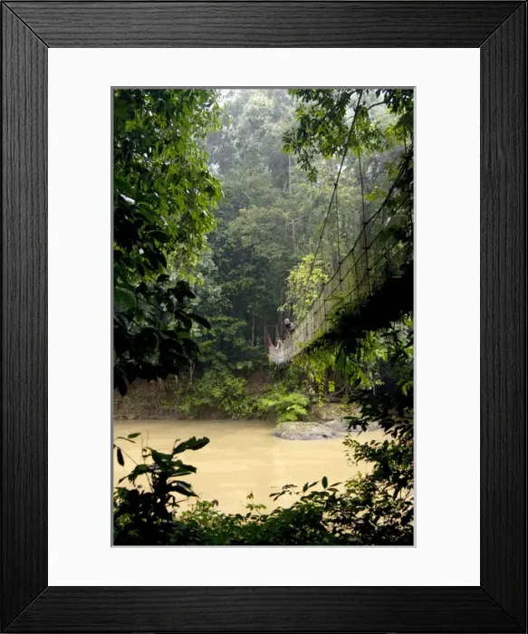 Framed Print : Sky Walk / Trail bridge / Suspension Bridge / Framed Print : Sky Walk / Trail bridge / Suspension Bridge /
