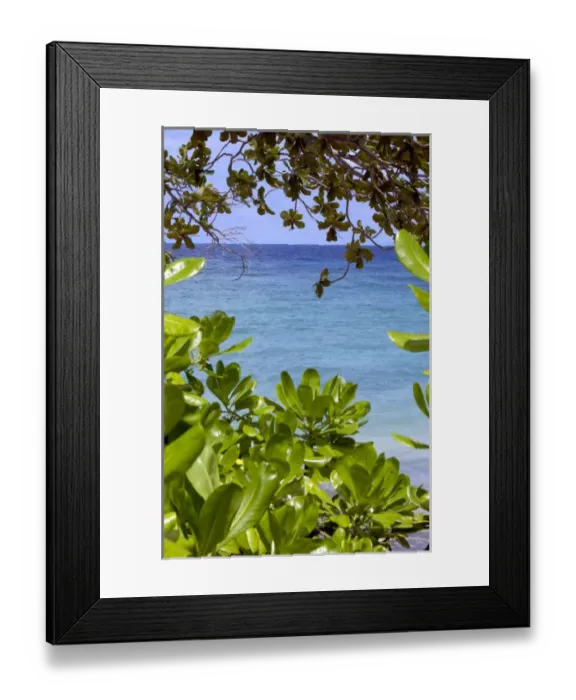 Framed Print : Sea at Tioman Island at high tide -seen through Framed Print : Sea at Tioman Island at high tide -seen through