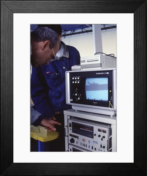 Framed Print : Researchers - monitoring sonar sounds of a dolphin Framed Print : Researchers - monitoring sonar sounds of a dolphin