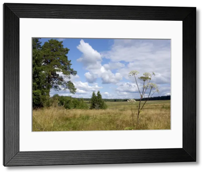 Framed Print : A typical scenery in Ural Mountains, near Ekaterinburg Framed Print : A typical scenery in Ural Mountains, near Ekaterinburg