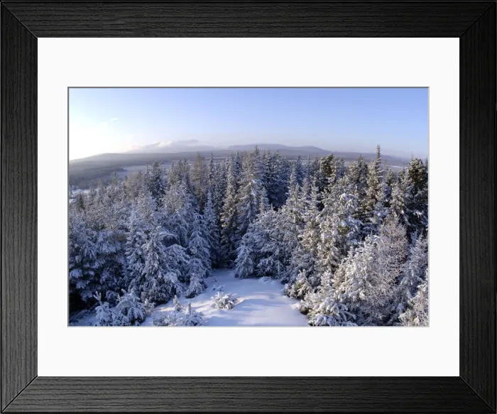 Framed Print : Russia; midwinter, December. The view is towards Framed Print : Russia; midwinter, December. The view is towards