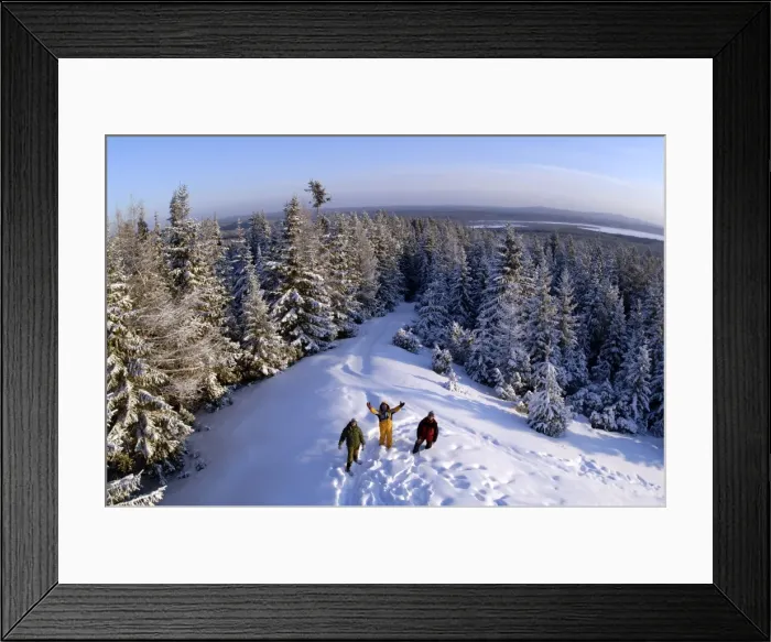 Framed Print : A typical view over coniferous taiga-forest Framed Print : A typical view over coniferous taiga-forest