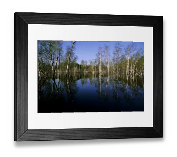 Framed Print : River Ugutka flooded valley in spring, typical scene Framed Print : River Ugutka flooded valley in spring, typical scene