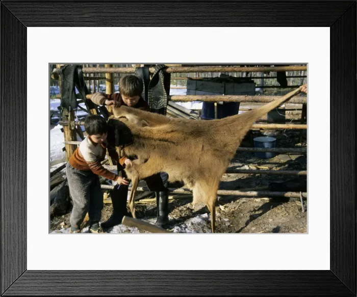Framed Print : Selkup children, North Siberia (Northern minority) Framed Print : Selkup children, North Siberia (Northern minority)