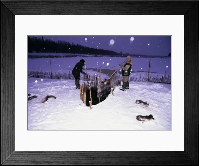 Framed Print : Fence-fishing, North Siberia, Russia Framed Print : Fence-fishing, North Siberia, Russia