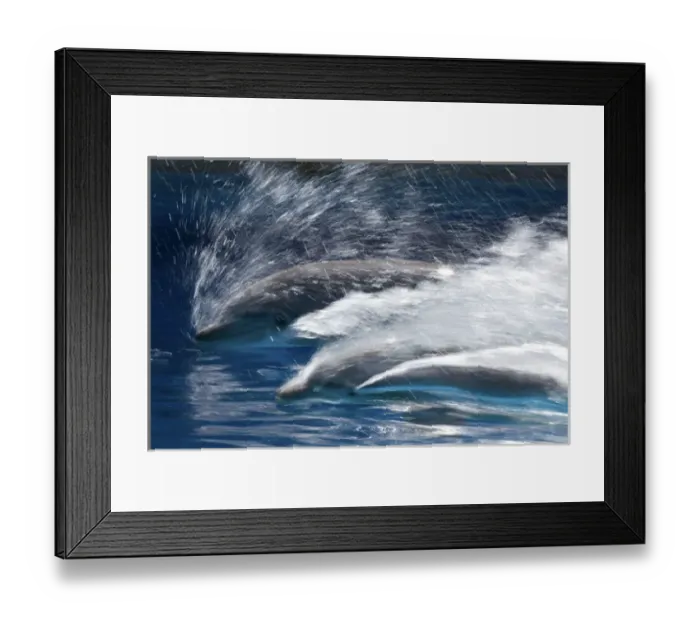 Framed Print : Bottlenose Dolphins - Swimming at speed through water Framed Print : Bottlenose Dolphins - Swimming at speed through water