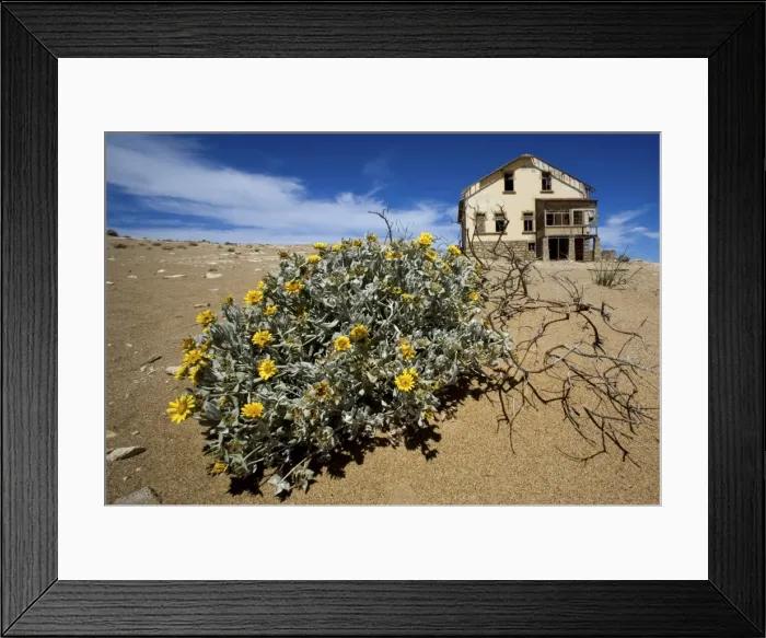 Framed Print : Old Mining Town near Luderitz called Ghost Town Framed Print : Old Mining Town near Luderitz called Ghost Town