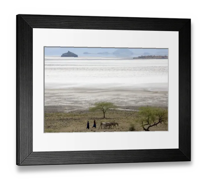 Framed Print : Msai moving with donkeys near lake Natron Framed Print : Msai moving with donkeys near lake Natron