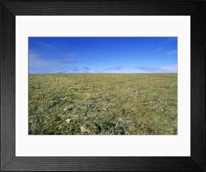Framed Print : Arctic tundra landscape Framed Print : Arctic tundra landscape