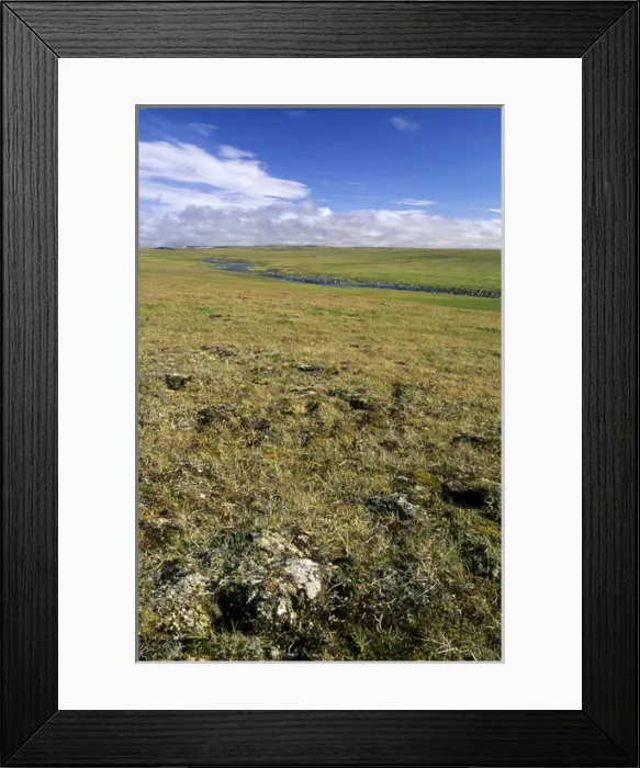 Framed Print : Arctic tundra, a typical landscape near Dikson
