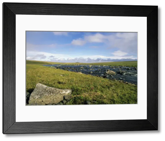 Framed Print : Arctic tundra Framed Print : Arctic tundra