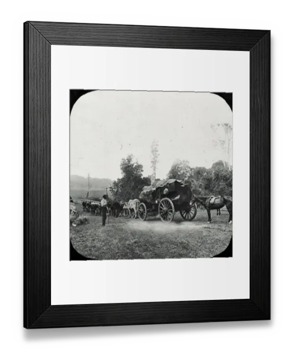 Framed Print : Sydney, Australia - A Cedar Team, Richmond River Framed Print : Sydney, Australia - A Cedar Team, Richmond River