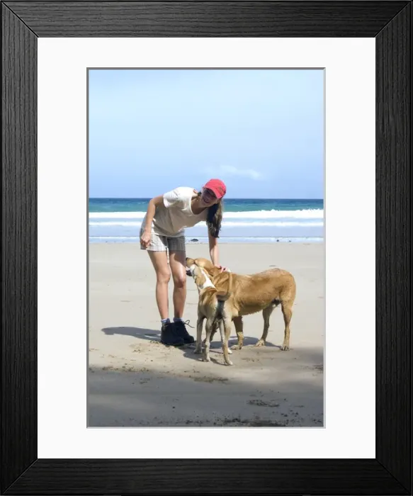 Framed Print : Dog - mongrels with tourist - Dogs roam free Framed Print : Dog - mongrels with tourist - Dogs roam free