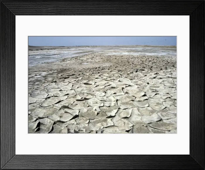 Framed Print : Over-dried soil with cristallized salt on its surface Framed Print : Over-dried soil with cristallized salt on its surface