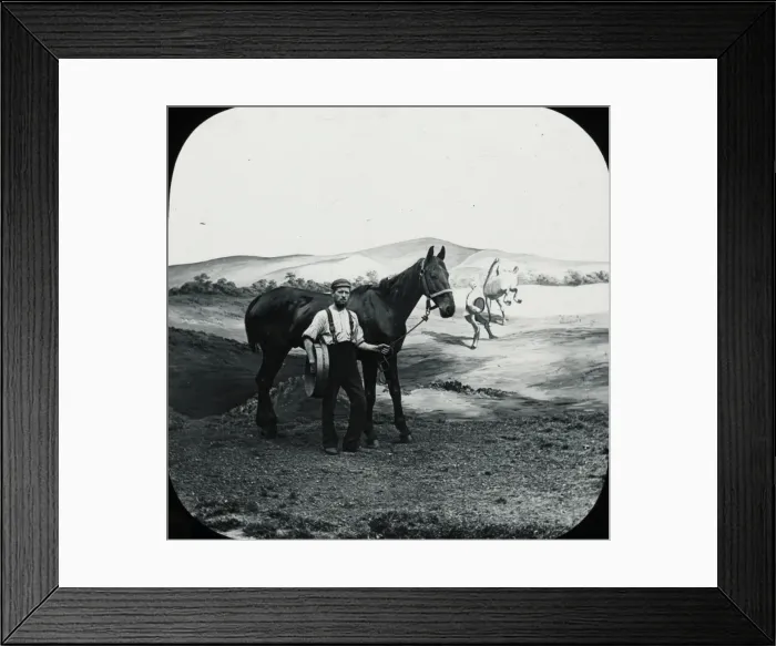 Framed Print : Favourite Sayings - The horse with a halter Framed Print : Favourite Sayings - The horse with a halter