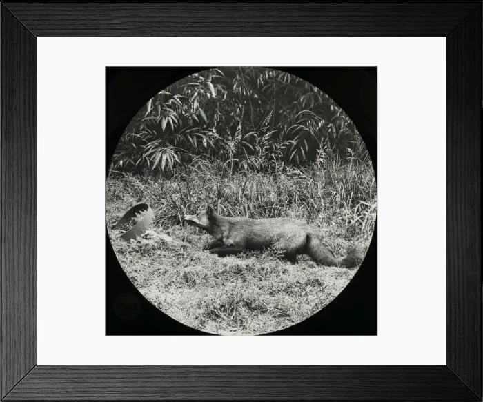 Framed Print : Favourite Sayings - Beware of man-traps Framed Print : Favourite Sayings - Beware of man-traps
