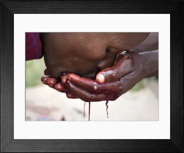 Framed Print : Msai Tribesman - drinking Goats blood during Framed Print : Msai Tribesman - drinking Goats blood during
