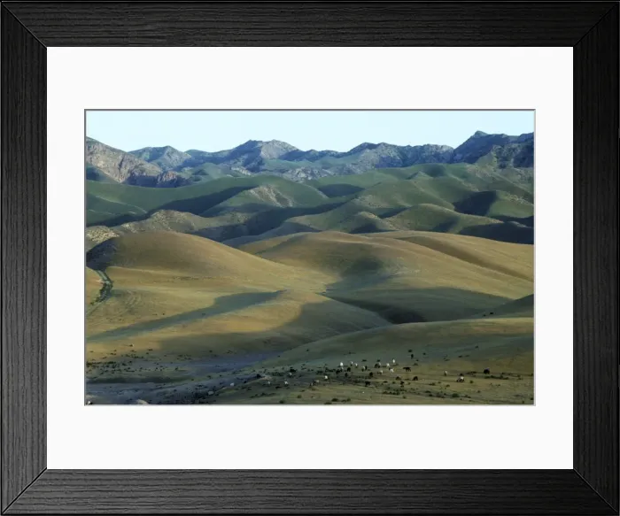 Framed Print : Sheep graze on scarcely grassed slopes - foothills Framed Print : Sheep graze on scarcely grassed slopes - foothills
