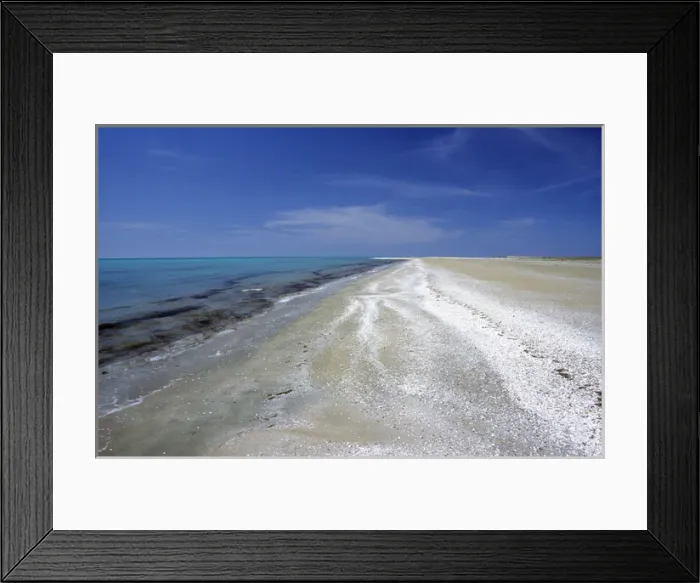 Framed Print : Beach covered with sea shells Framed Print : Beach covered with sea shells