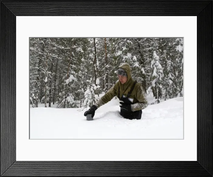 Framed Print : Taking a snow depth measurement - boreal forest Framed Print : Taking a snow depth measurement - boreal forest