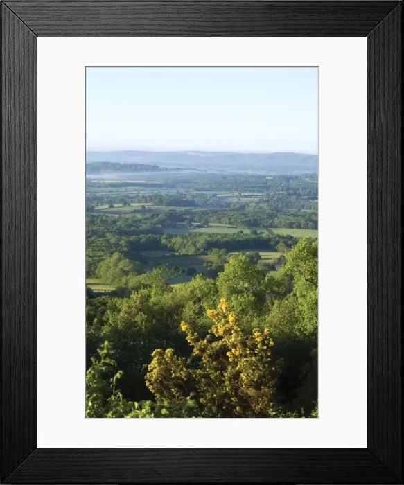 Framed Print : Blackdown / Black Down hill - 280 m / 919 feet Framed Print : Blackdown / Black Down hill - 280 m / 919 feet