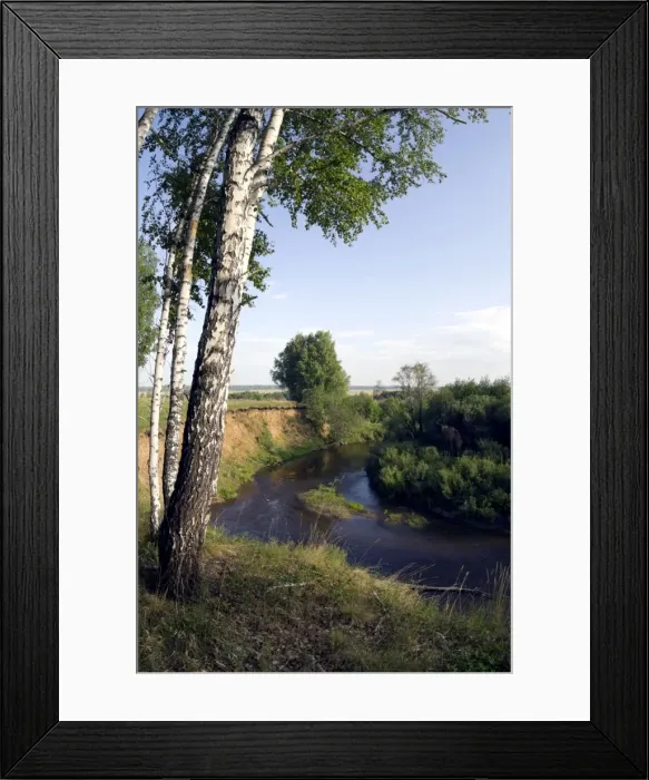 Framed Print : River Sinara bend - birch trees on the high bank Framed Print : River Sinara bend - birch trees on the high bank