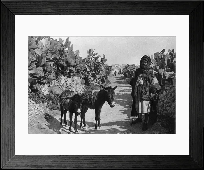 Framed Print : Fellah with donkeys, Holy Land Framed Print : Fellah with donkeys, Holy Land