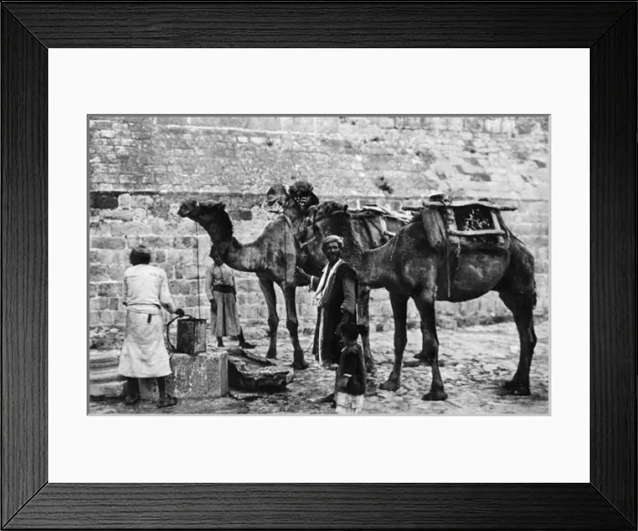 Framed Print : Men with camels at a cistern, Bethlehem Framed Print : Men with camels at a cistern, Bethlehem